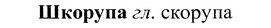 img/37/37-139_0744_Шкорупа.jpg