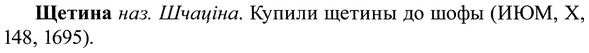 img/37/37-242_1258_Щетина.jpg